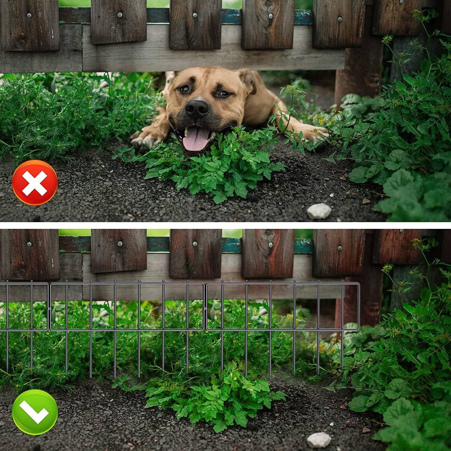 Dig Proof Dog Fence: image 2