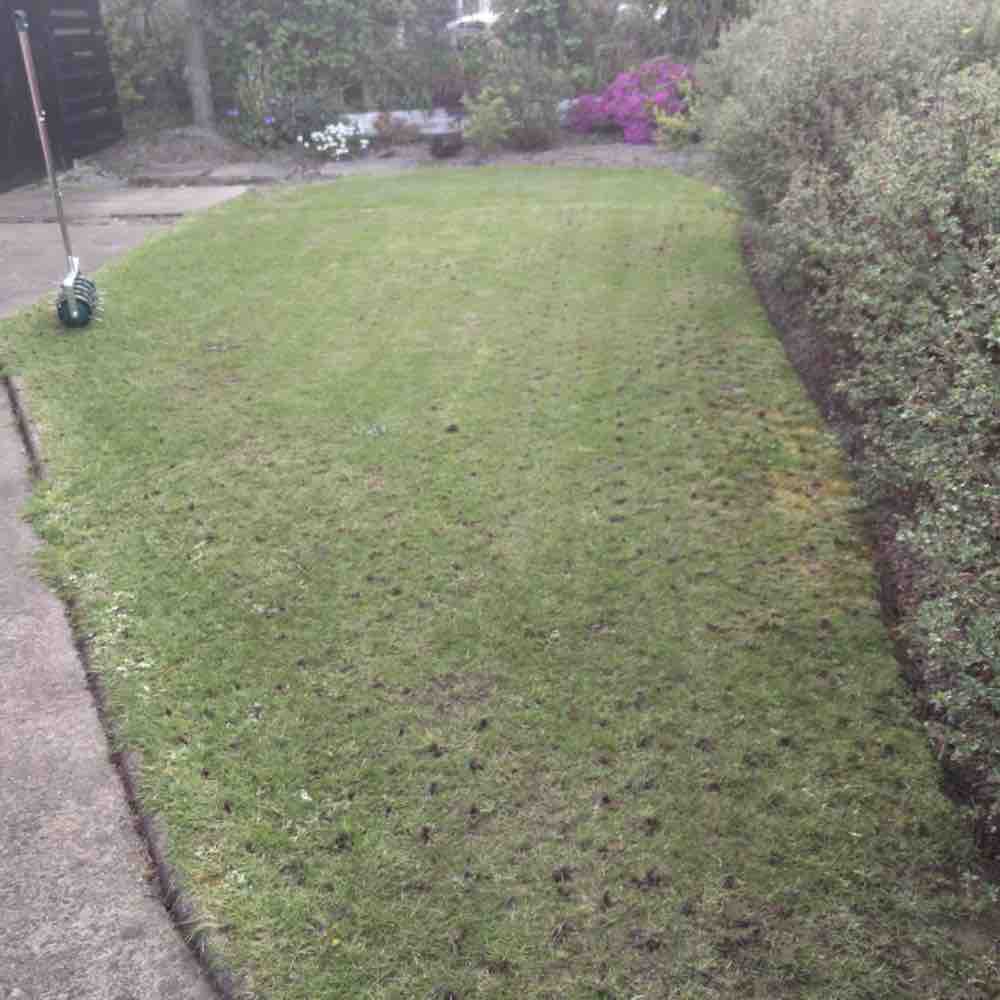 Grass Spike Roller: image 8