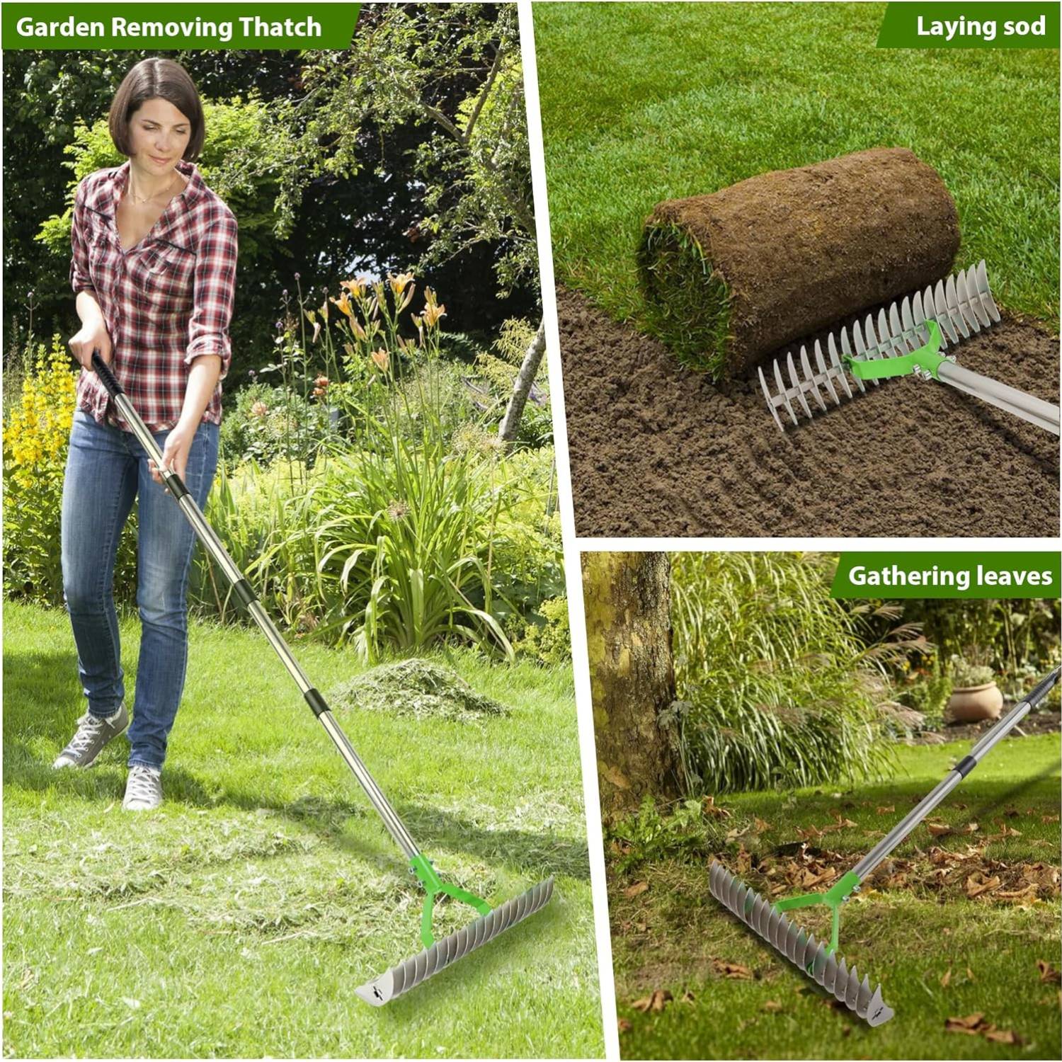 Lawn Thatcher Rake: image 5